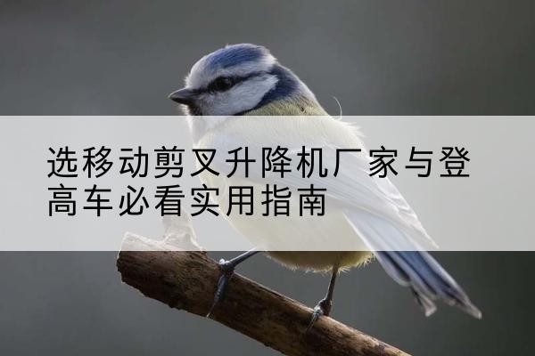 察隅电动升降机厂家-选移动剪叉升降机厂家与登高车必看实用指南