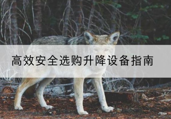 察隅升降货梯厂家推荐-*安全选购升降设备指南